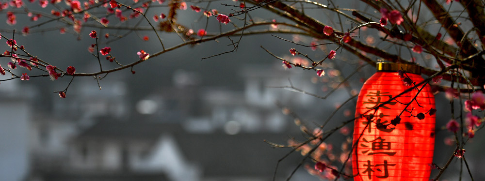 春來花開，綻放正當(dāng)時(shí)