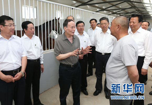 這是7月3日，王岐山在錫林浩特市義合良種馬繁育基地考察。新華社記者 龐興雷 攝
