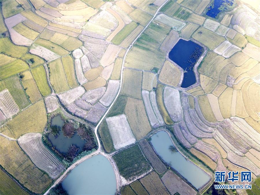 （新華全媒頭條·壯闊東方潮　奮進(jìn)新時代——慶祝改革開放40年·圖文互動）（2）小崗，與時代同行——“中國農(nóng)村改革第一村”40年變遷的改革啟示