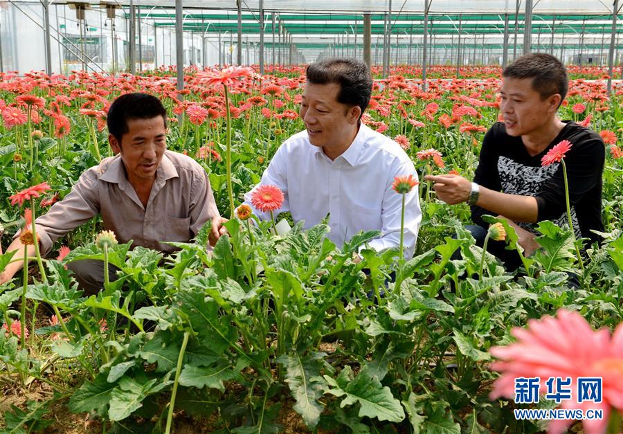 （新華全媒頭條·愛國情 奮斗者·圖文互動）（8）致敬，為祖國獻(xiàn)身的英雄！