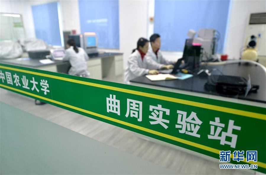 （愛國情 奮斗者·圖文互動）（3） “解民生之多艱，育天下之英才”——中國農(nóng)大師生扎根田野書寫奉獻之歌