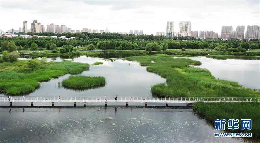 （走向我們的小康生活·圖文互動）（1）水清、地綠、空氣新——最北省份黑龍江繪就生態(tài)治理新畫卷