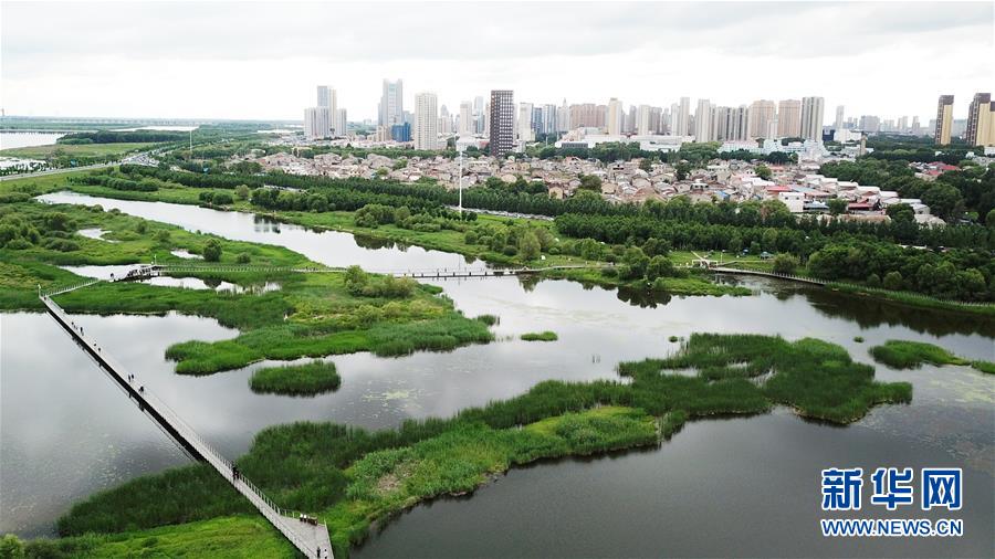 （走向我們的小康生活·圖文互動）（2）水清、地綠、空氣新——最北省份黑龍江繪就生態(tài)治理新畫卷