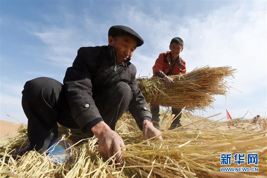 （在習(xí)近平新時(shí)代中國(guó)特色社會(huì)主義思想指引下——新時(shí)代新作為新篇章·習(xí)近平總書記關(guān)切事·圖文互動(dòng)）（5）綠色映底蘊(yùn)，山水見初心——生態(tài)優(yōu)先、綠色發(fā)展持續(xù)造福群眾美好生活
