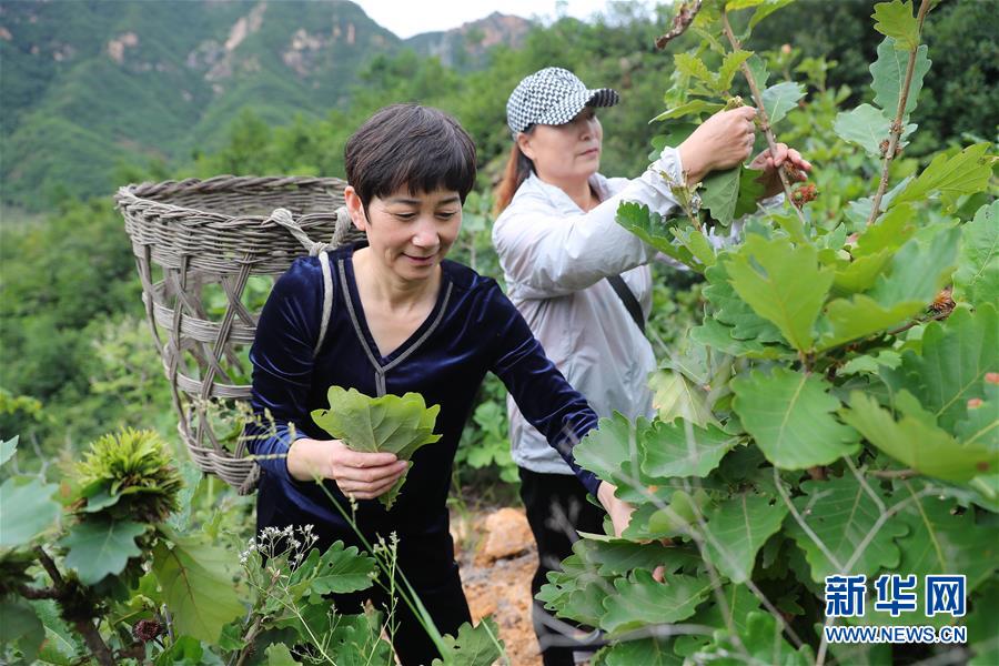 （新華全媒頭條·走向我們的小康生活·圖文互動）（7）長城腳下，小康村串成“珍珠鏈”