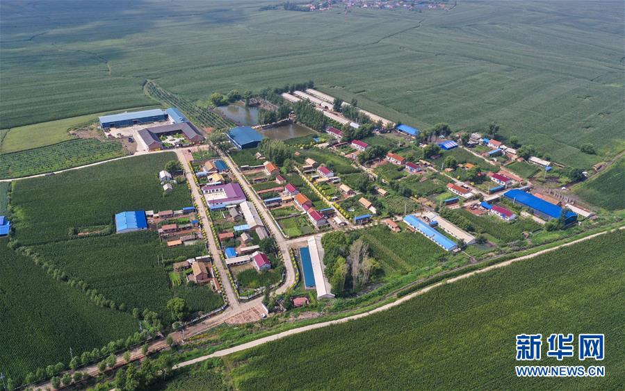 （新華全媒頭條·走向我們的小康生活·圖文互動）（12）黑土地上是我家——在吉林，一瞥中國東北鄉(xiāng)村美麗未來
