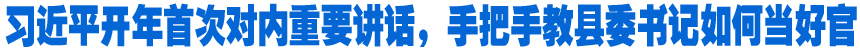 習(xí)近平開年首次對內(nèi)重要講話，手把手教縣委書記如何當(dāng)好官