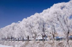 全國初雪時間表出爐 看看你離初雪還有多遠？