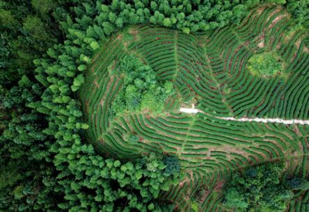 福建龍巖：高效用地，提升生態(tài)環(huán)境水平