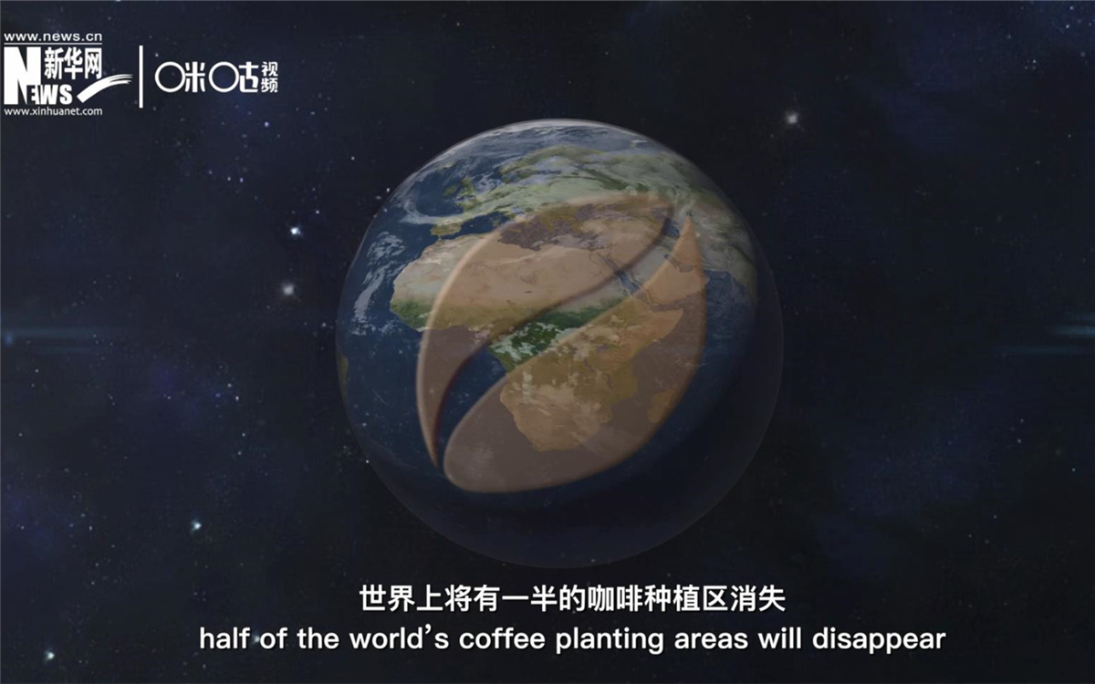 科學(xué)家預(yù)測到三十年后，世界上將有一半的咖啡種植區(qū)消失