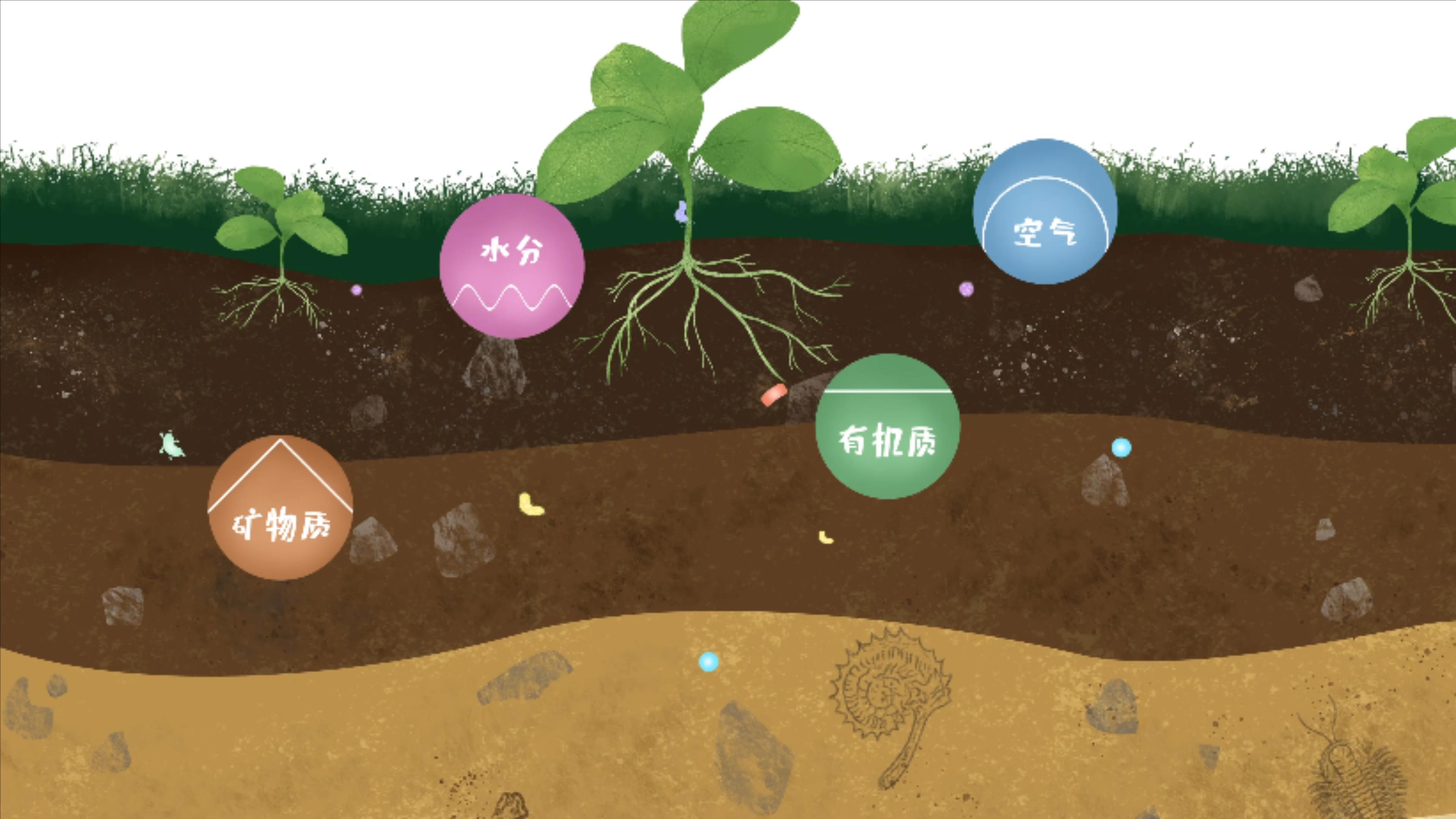 土壤由礦物質(zhì)、有機(jī)質(zhì)、水分、空氣及包括微生物在內(nèi)的生物體等組成