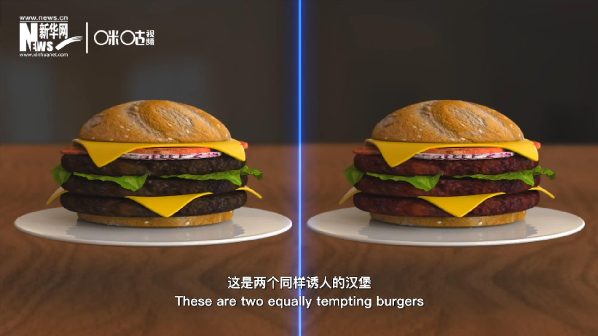 人造肉漢堡能在生產(chǎn)過程中節(jié)約水、土地、排放以及能量
