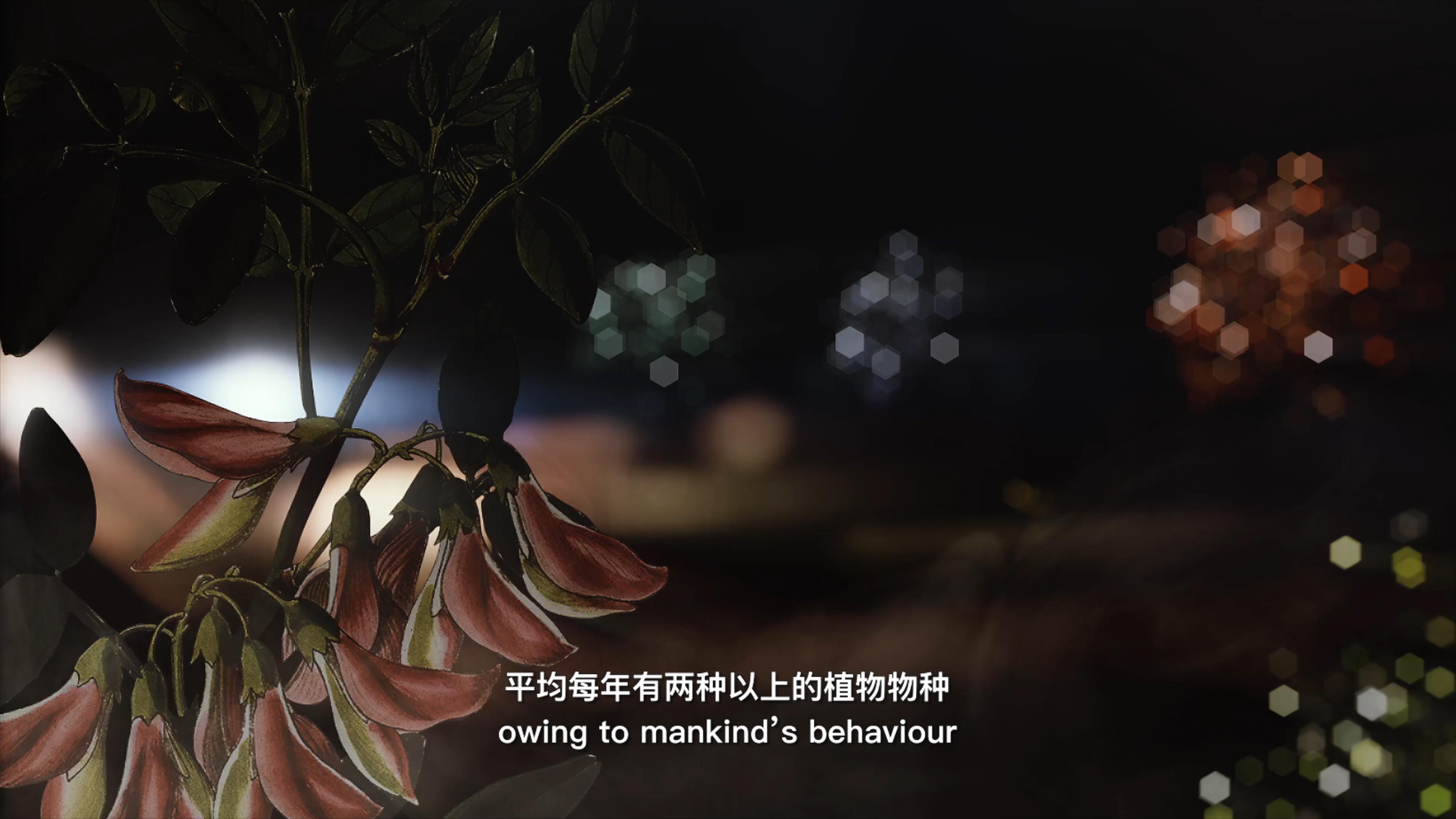 自18世紀(jì)中葉以來，許多植物物種因為人類的原因而從地球上消失