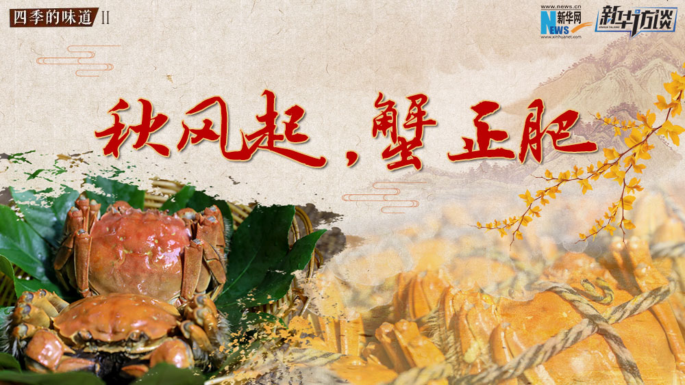 秋風起，蟹正肥
