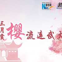 三月賞櫻，流連武大
