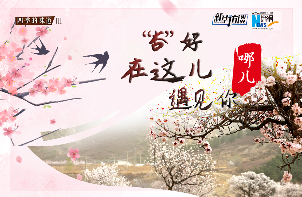 哪兒？“杏”好在這兒遇見(jiàn)你！