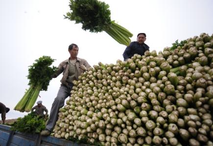劉永富：發(fā)展產(chǎn)業(yè)脫貧仍是精準(zhǔn)扶貧、精準(zhǔn)脫貧主攻方向