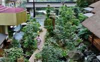 震撼！日本最豪華的廁所（組圖）
