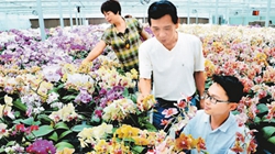 臺(tái)商眼中的改革開(kāi)放：風(fēng)景這邊獨(dú)好 要去，要去，要去！