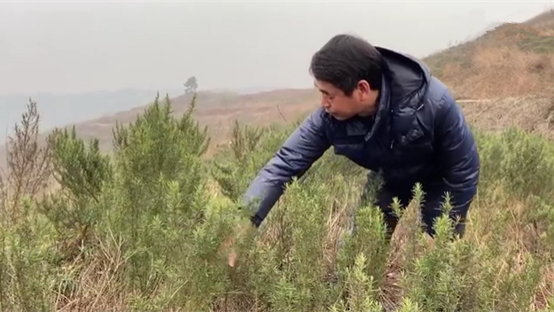 新春走基層｜脫貧后，駐村扶貧隊長在干啥？